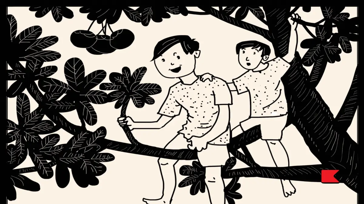 চালতা গাছের মাচা